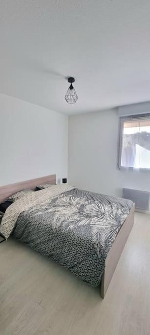 דירות טולוז T2 Pool & Terrasse - Parking - Metro - Wifi מראה חיצוני תמונה